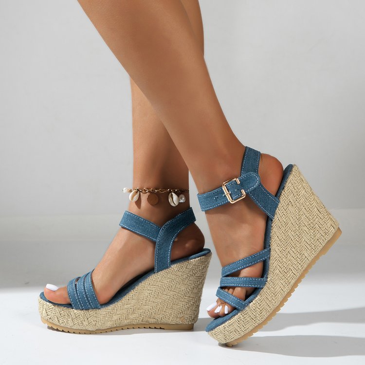 The Blue Wedges