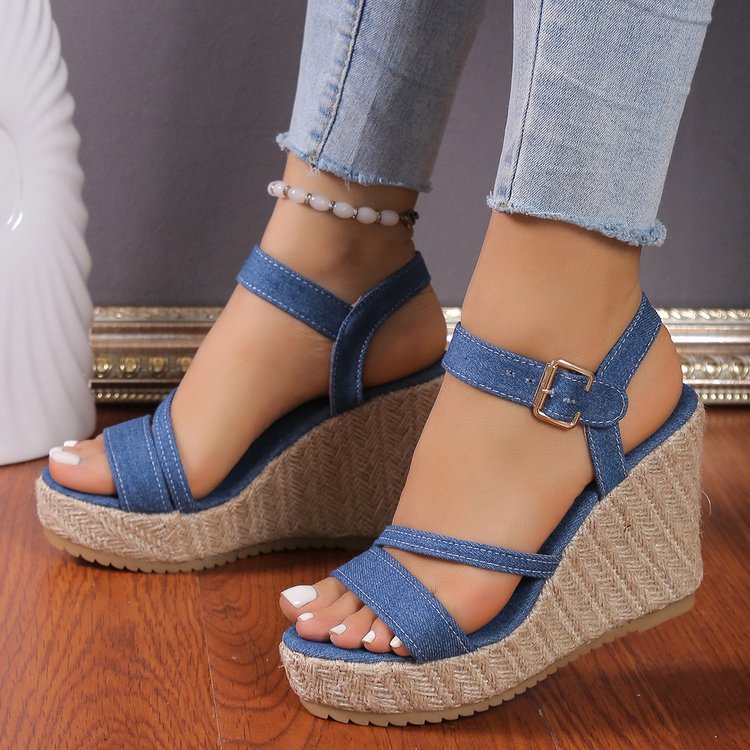 The Blue Wedges