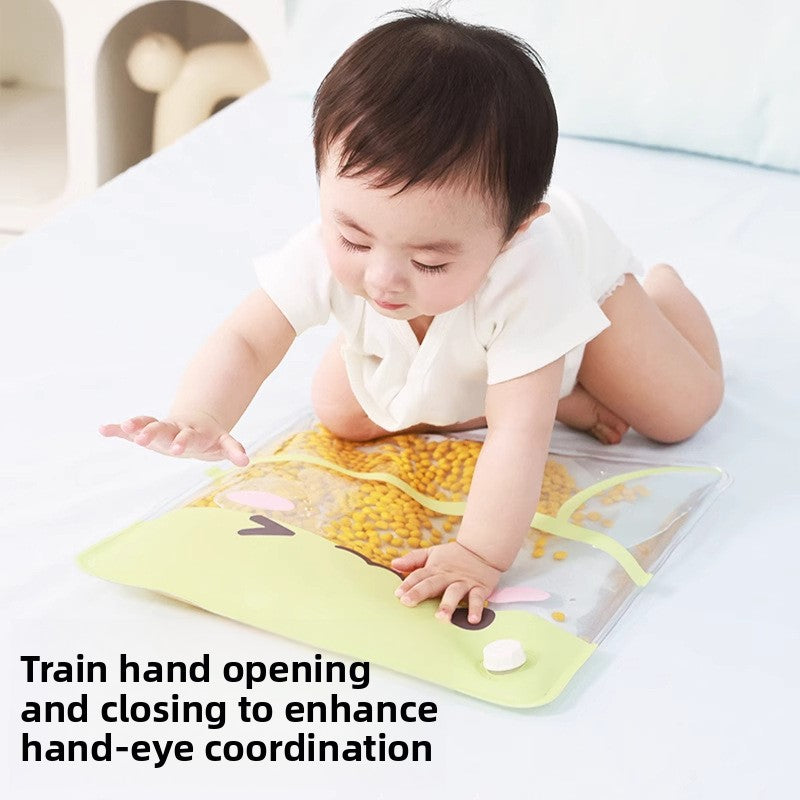 Baby Montessori Sensory Bag Toy