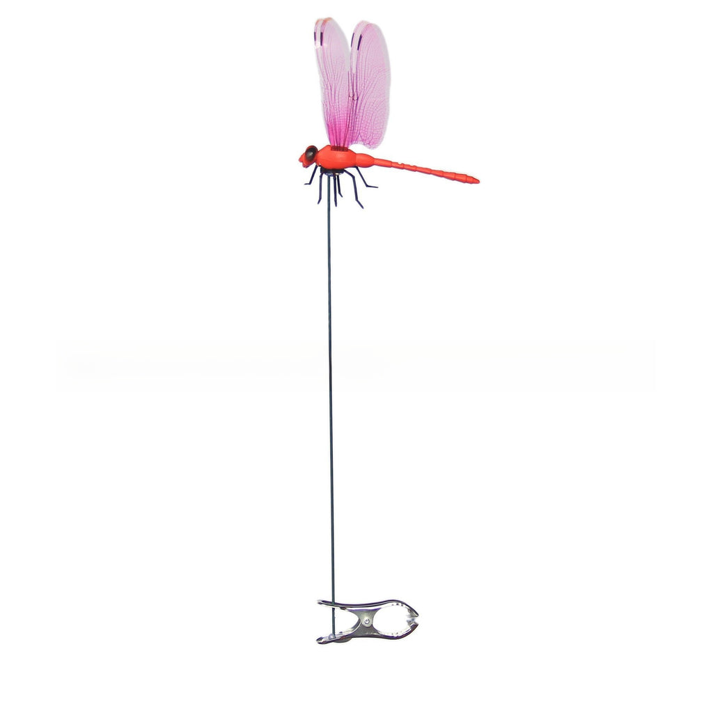 Realistic Dragonfly Clip - No More Mosquitos