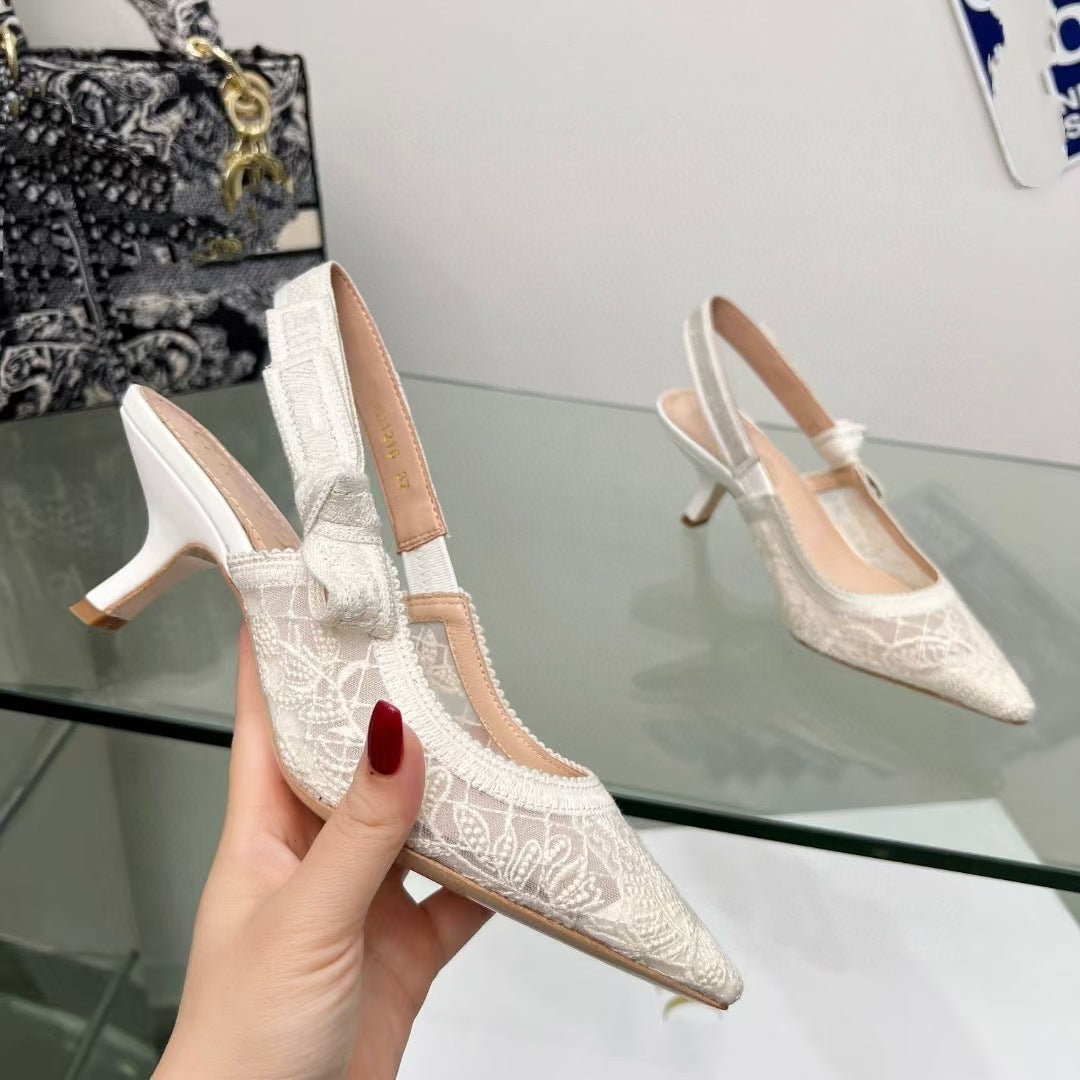 Lace Mesh Pointed Heeled and flat