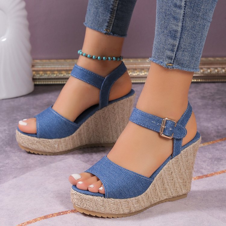 The Blue Wedges
