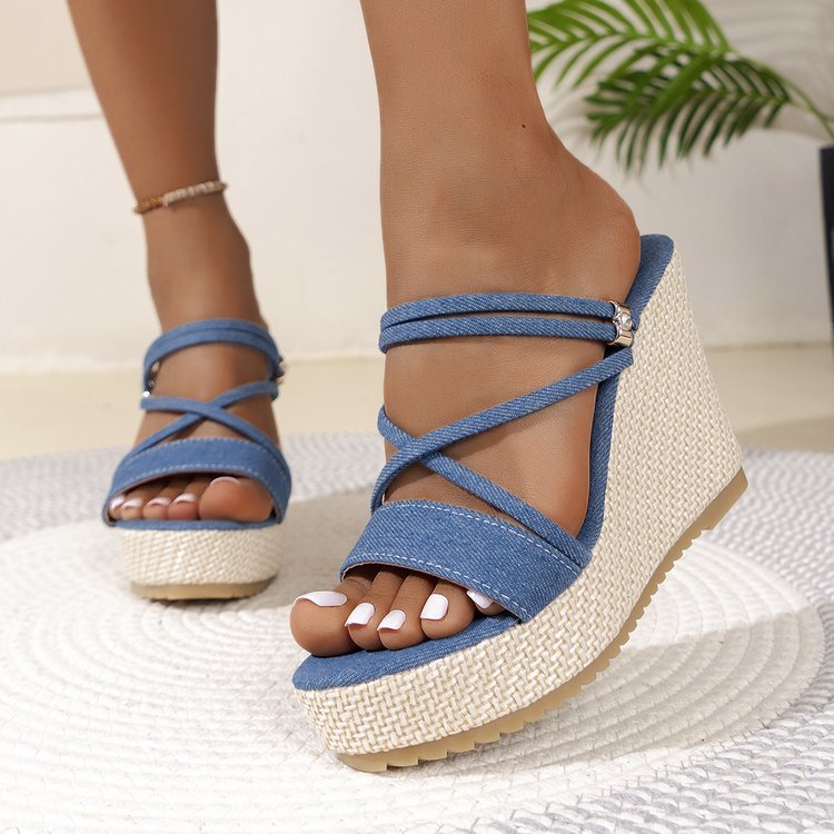 The Blue Wedges
