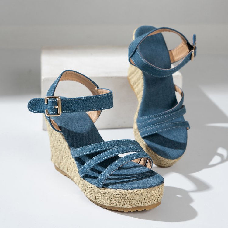 The Blue Wedges