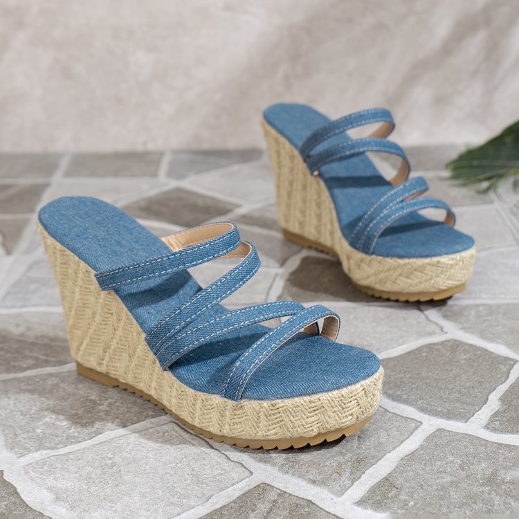 The Blue Wedges